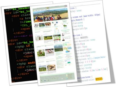 Conception de sites web